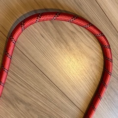 大型犬用リードの画像