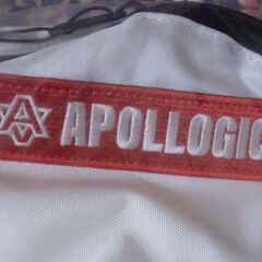 未使用 HAVE A GOOD ONE APOLLOGIC ボトルケースバッグ お譲りします。の画像