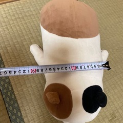 ぬいぐるみの画像