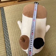 ぬいぐるみの画像