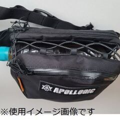 未使用 HAVE A GOOD ONE APOLLOGIC ボトルケースバッグ お譲りします。の画像