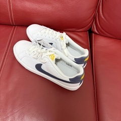 値下げ‼️NIKEシューズの画像