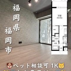 【初期費用ゼロ🙌】福岡市南区 １K 家賃9.6万 ペット相…