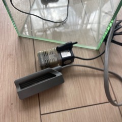 水槽初心者セットの画像