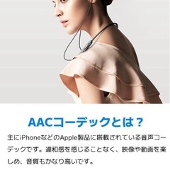 次世代ネックバンド型イヤホン  5.3 Bluetoothの画像