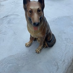 引取り限定　犬の置物　シェパード？　犬　ペット　インテリア　防犯　の画像