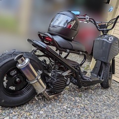 フルカスタムズーマー50の画像