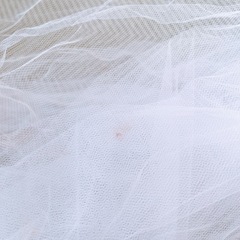 ウェディング 結婚式 ベールの画像