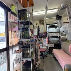 突っ張りスチールラックとコトブキオールインワン水槽4台無料で差し上げます‼️の画像
