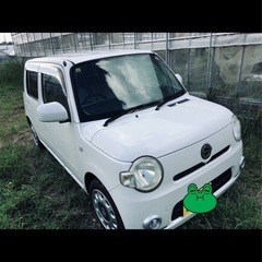 H22 ココア　の画像
