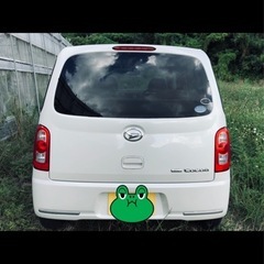 H22 ココア　の画像