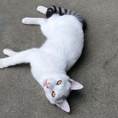 4月生まれの仔です
