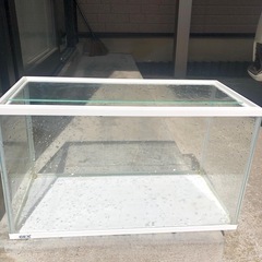 GEX水槽　50cmの画像