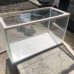 GEX水槽　50cmの画像