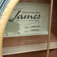 James アコースティックギターの画像