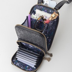 未使用品　ANNA SUI mini じゃばら式スマホショルダーの画像
