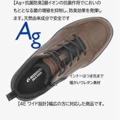 ムーンスタースニーカー メンズの画像