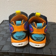 ポンプフューリー　フラボア　23㎝　の画像