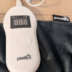 ペット用ホットカーペットの画像