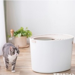 砂が飛び散らない猫トイレの画像