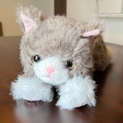 無料　ねこ　ぬいぐるみの画像
