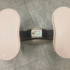 サイドステッパー フィーア　アルインコ ALINCO   リサイクルショップ宮崎屋　佐土原店　25.9.11Fの画像