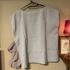 ブルーグレートップスの画像