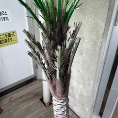 フェイクグリーン ヤシの木の画像