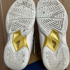 バッシュ　22cm　の画像