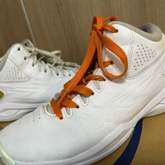 バッシュ　22cm　の画像