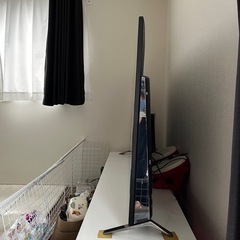 テレビの画像