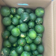 すだち🤢6キロ🤢訳あり　サイズ混合　和歌山下津産の画像