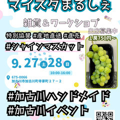 シャインマスカット🍇農家直売！！出店者募集9/27(土),28(...