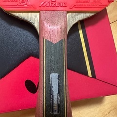 水谷準super zlc FLの画像