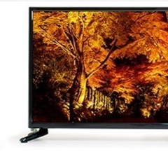 PCモニター/TV 22V型 の画像
