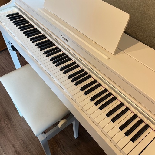 CASIO CELVIANO AP-470