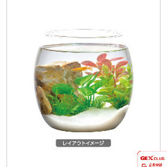 GEX 癒し水草　ボトルプランツの画像