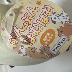 犬　おもちゃ　ぬいぐるみの画像