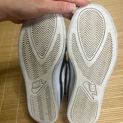 ナイキ コートロイヤルAC 24.5cmの画像