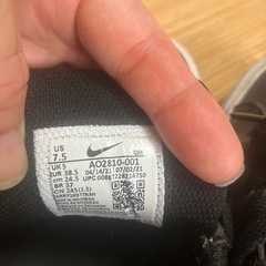 ナイキ コートロイヤルAC 24.5cmの画像