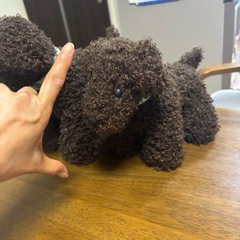 トイプードルの親子ぬいぐるみの画像