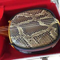 新品未使用9.500円　沖縄三線専用　一丁入アルミハードケース　頑丈さ抜群ですの画像
