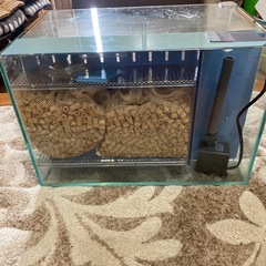 45cm背面オーバーフロー水槽　持ち帰り限定の画像