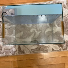 45cm背面オーバーフロー水槽　持ち帰り限定の画像