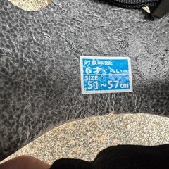 子供用　自転車22inchとヘルメットセットの画像