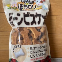 犬 おやつの画像