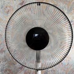 J091002  扇風機 30cm お座敷扇 ナショナル F-C309E の画像