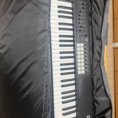 PLAYTECH ( プレイテック ) 49鍵用キーボードケースの画像