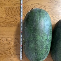 【完熟】スイカ　静岡産の画像
