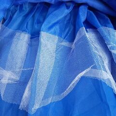 110⭐️青ドレスの画像